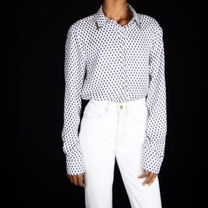 Mesmerizing Business Babe Zara Button Down Blouse